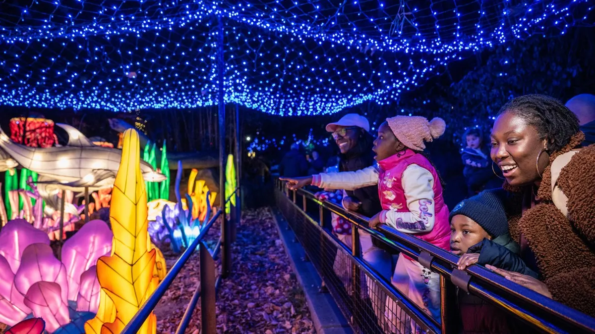 Bronx Zoo Holiday Lights, photo 1 of 3