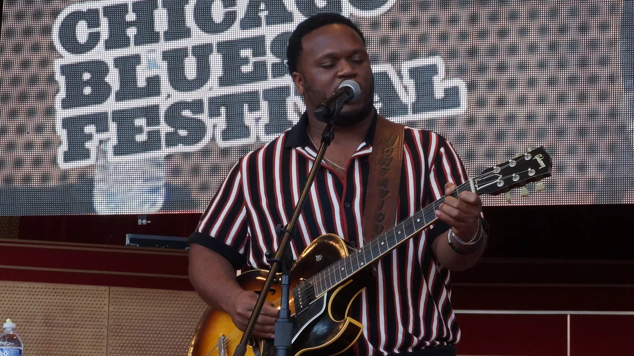 Chicago Blues Festival, photo 1 of 2