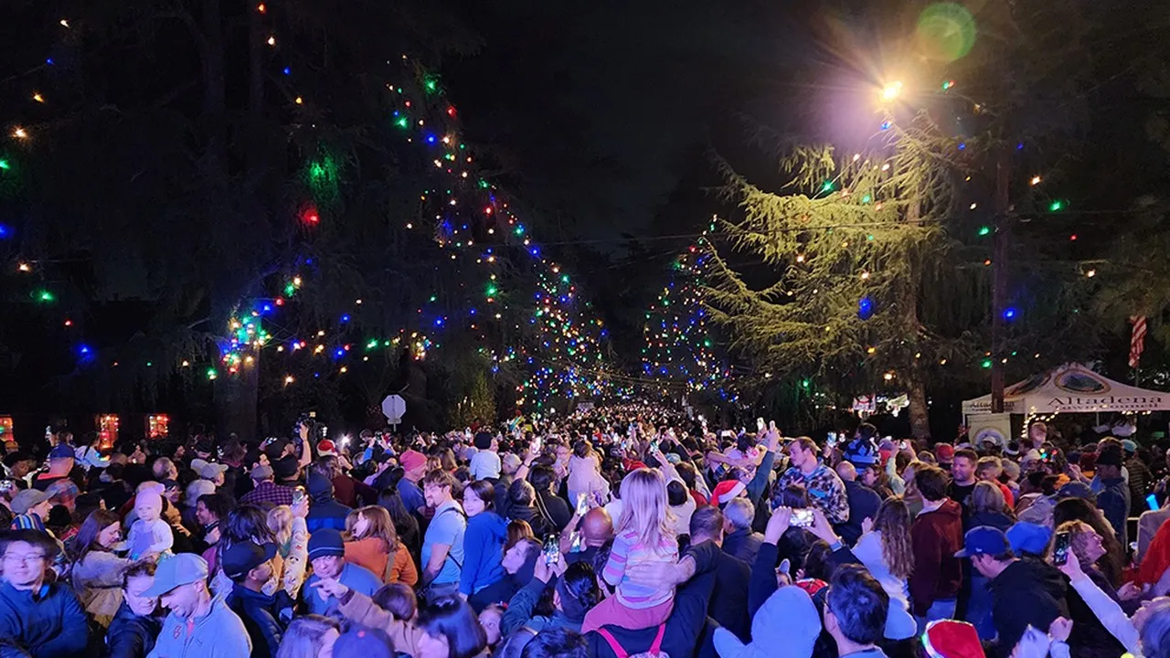 Christmas Tree Lane Lighting Ceremony, photo 1 of 2
