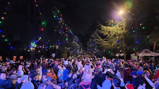 Christmas Tree Lane Lighting Ceremony