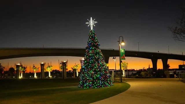 Clearwater's Bright and Beautiful Tree Lighting