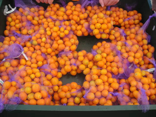 Dade City Kumquat Festival