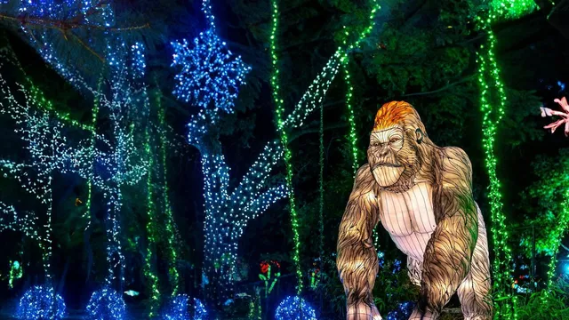 Dallas Zoo Lights