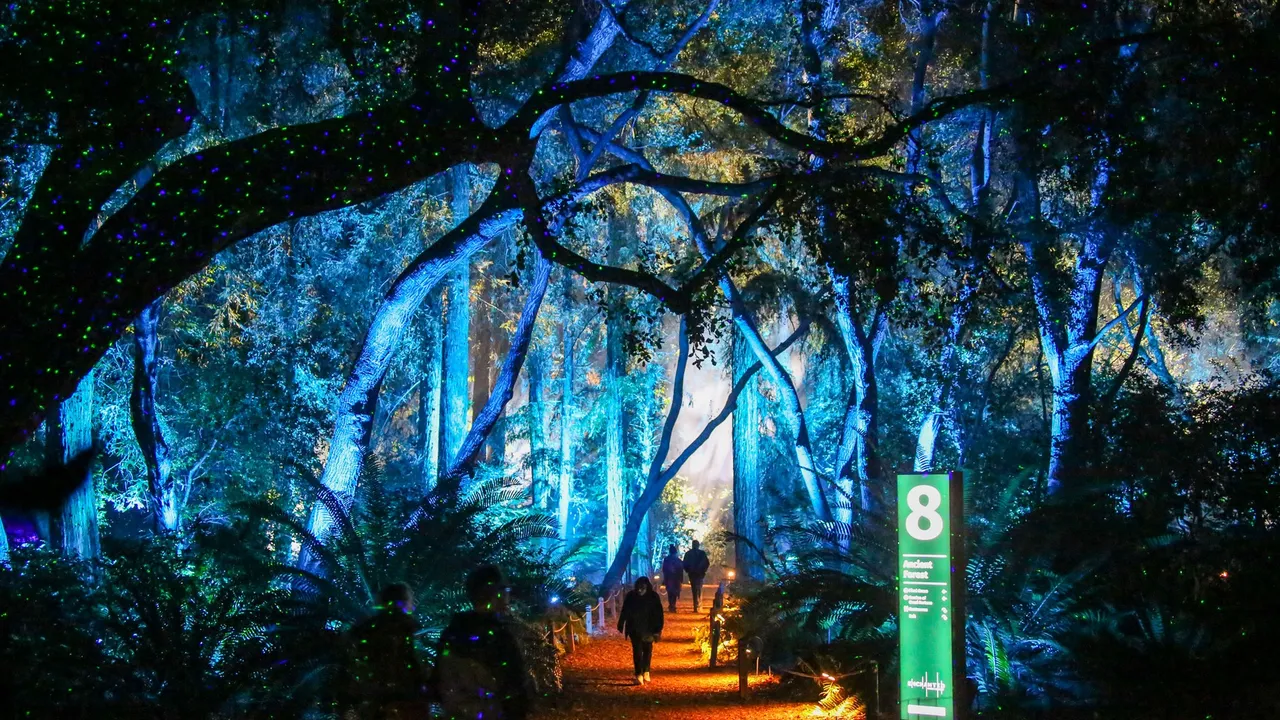 Enchanted: Forest of Light at Descanso Gardens, photo 1 of 4