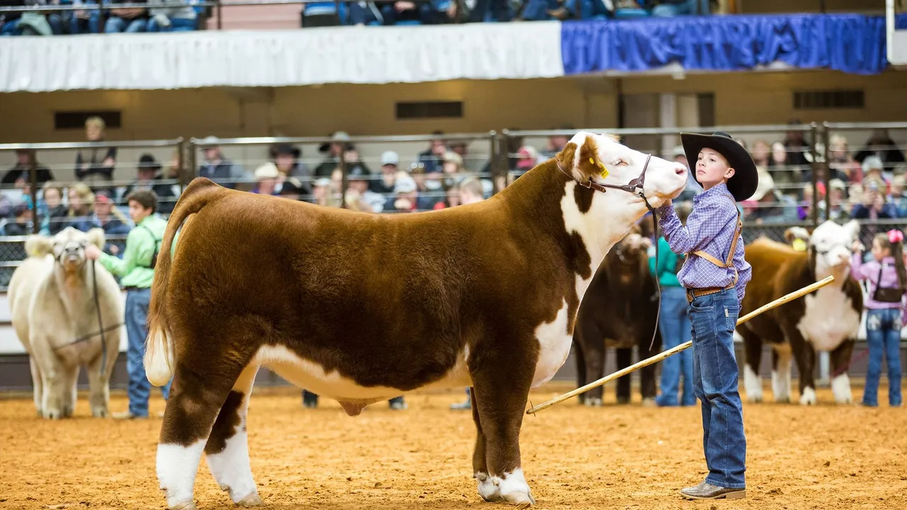 Fort Worth Stock Show & Rodeo, photo 1 of 4