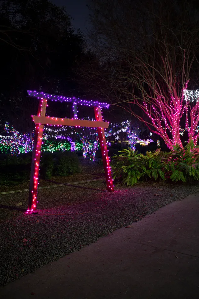 Holiday Lights in Largo Central Park