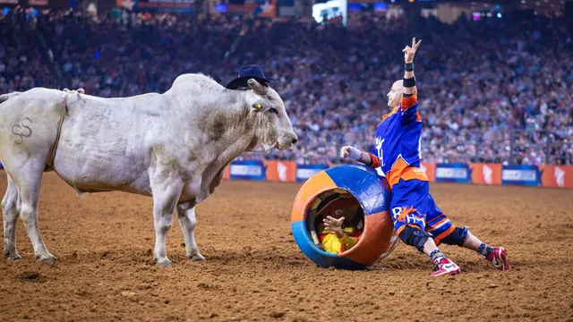 Houston Livestock Show and Rodeo