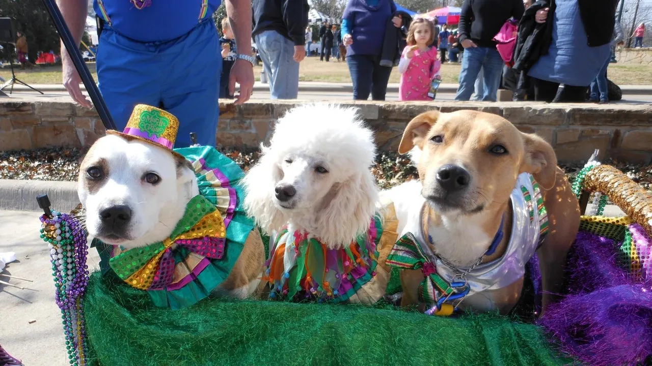 Krewe of Barkus
