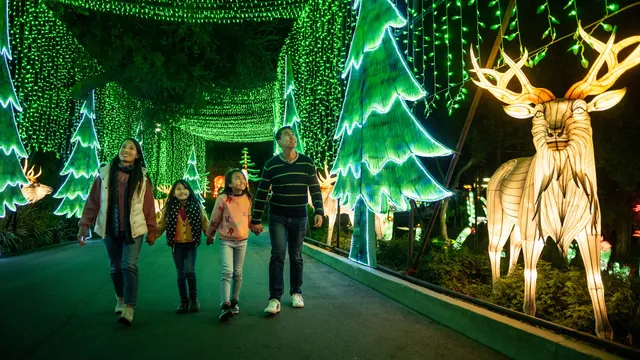 L.A. Zoo Lights