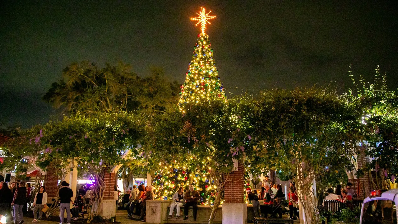 Light Up Winter Garden, photo 1 of 3