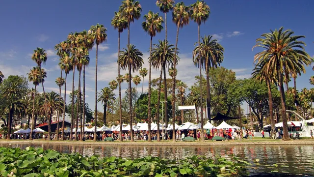 Lotus Festival