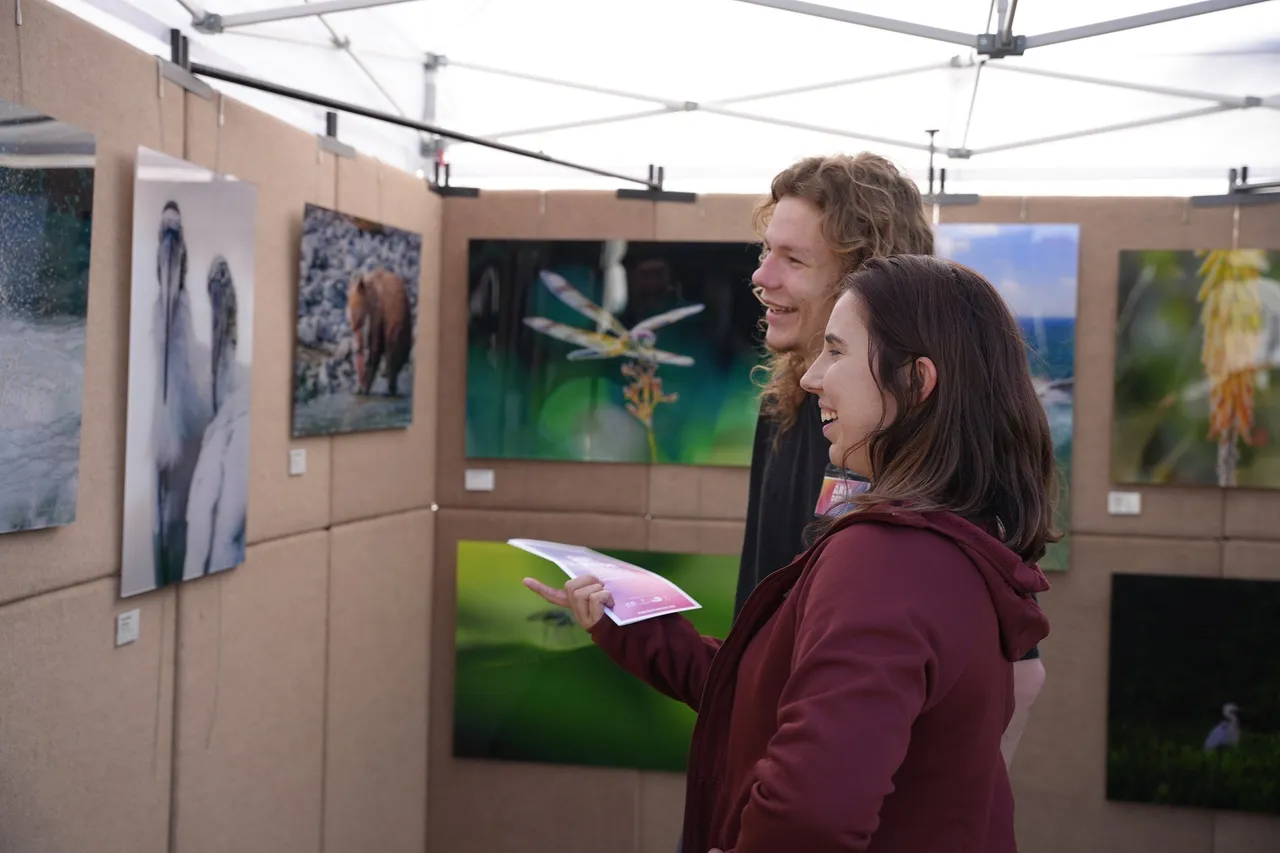 Pinecrest Gardens Art & Design Fair