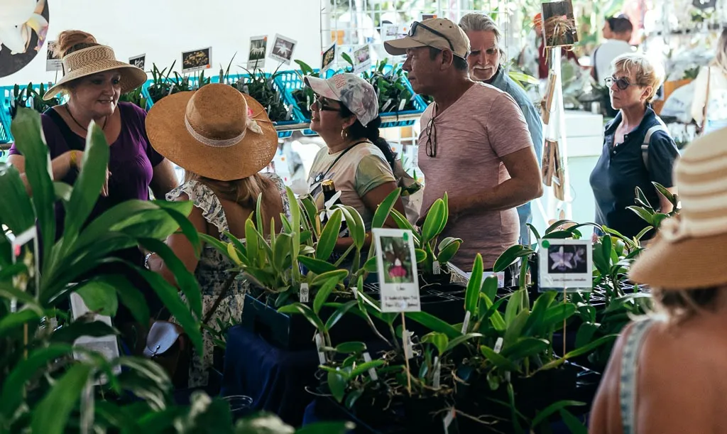 Redland International Orchid Festival