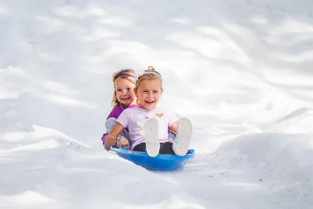 Snowfest
