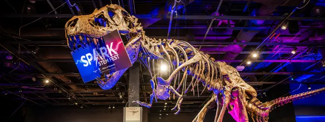 Spark STEM Fest
