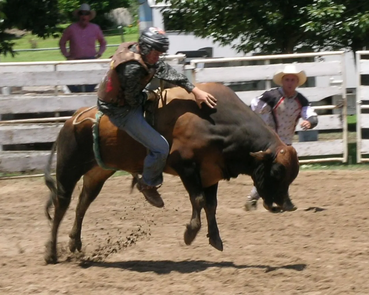 Tampa Bay Rodeo & Family Festival