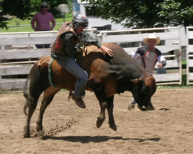 Tampa Bay Rodeo & Family Festival