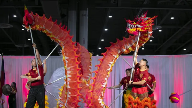 Viet Cultural Fest