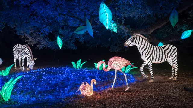 Zoo Lights at the Houston Zoo