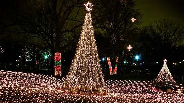 ZooLights at Lincoln Park Zoo