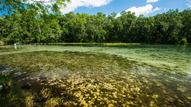 Alexander Springs Recreation Area