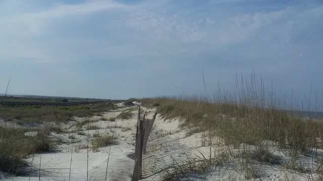 Anastasia State Park