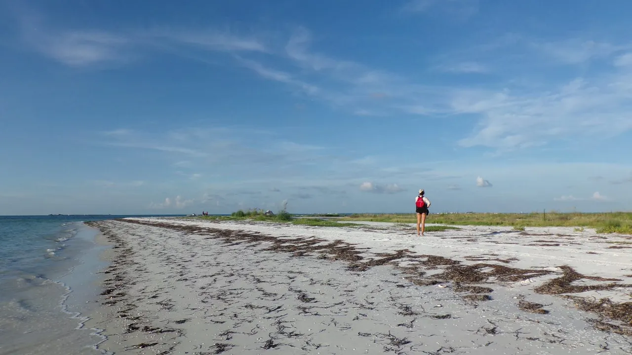 Anclote Key Preserve State Park
