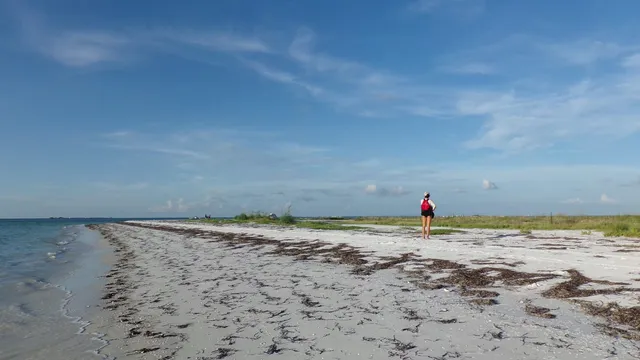 Anclote Key Preserve State Park