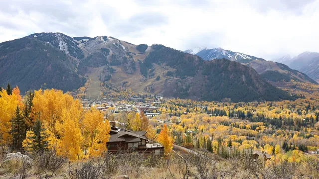 Aspen