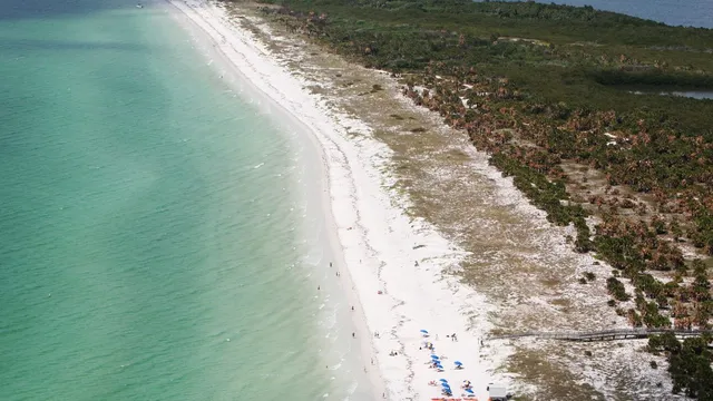 Wild Florida Gulf Coast Beaches