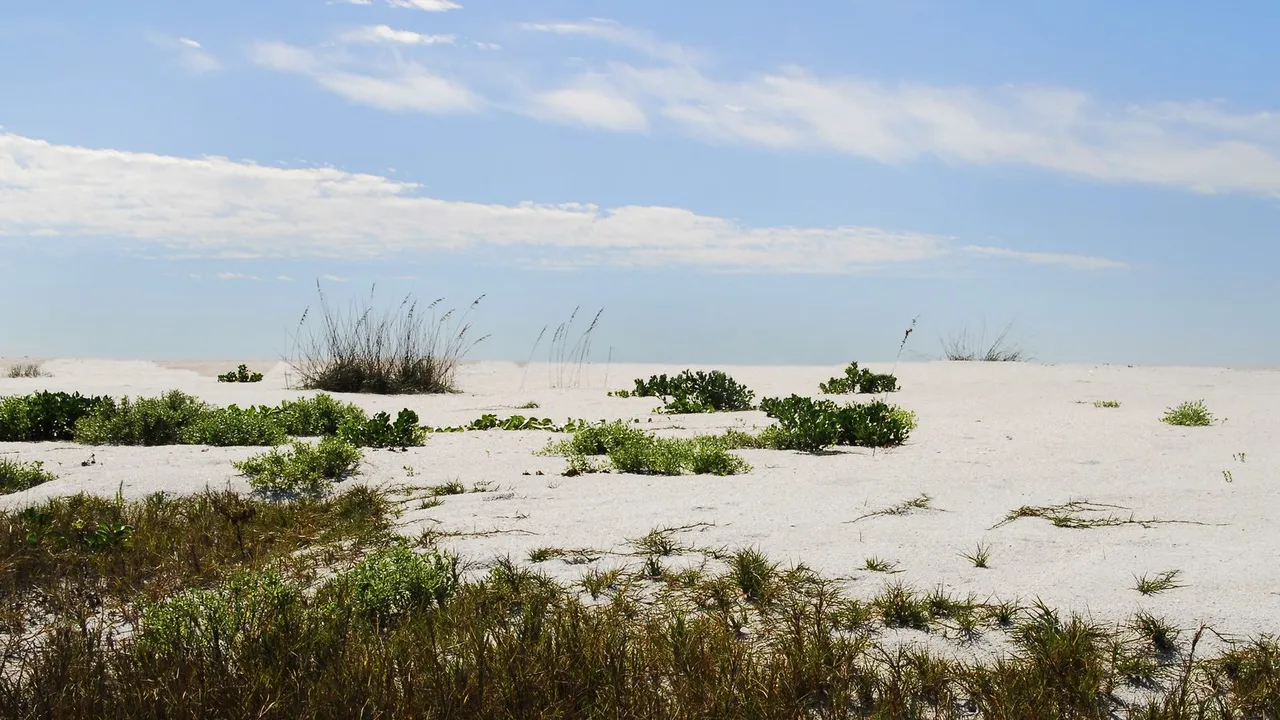 Cayo Costa State Park