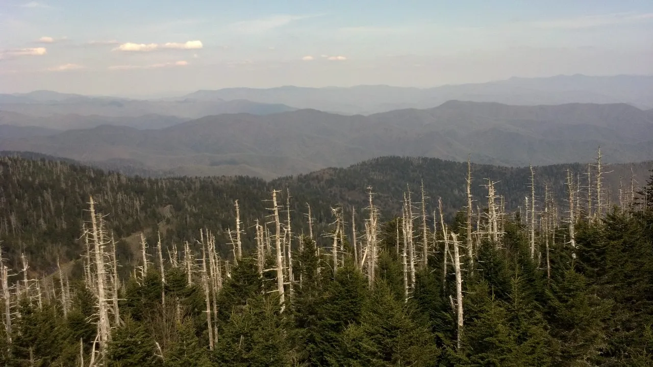 Clingmans Dome