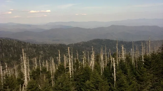 Clingmans Dome