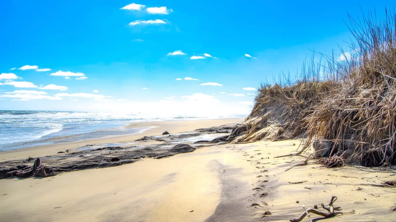 Coast Guard Beach