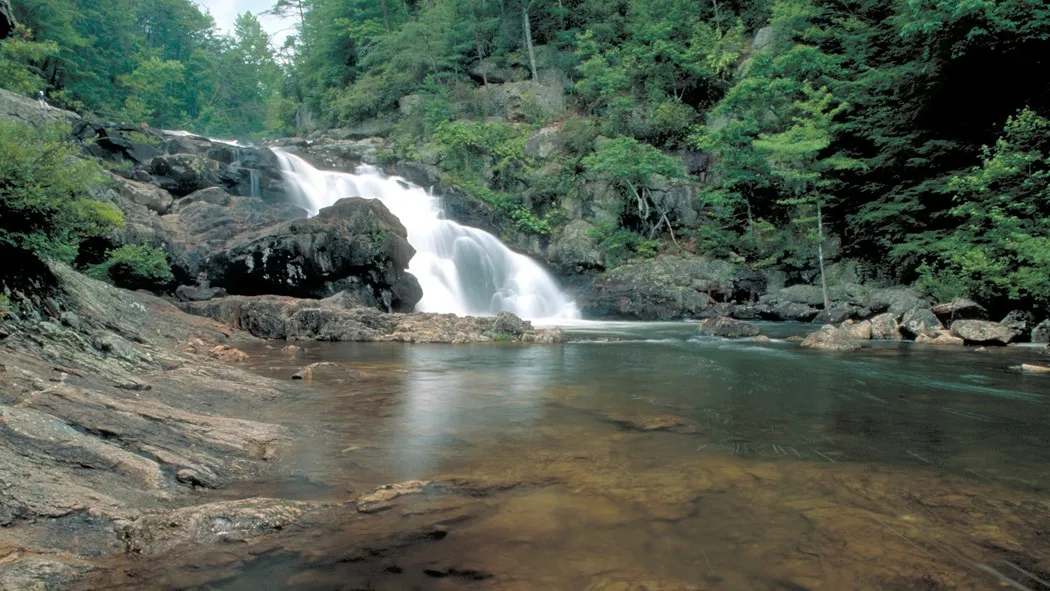 Cohutta Wilderness