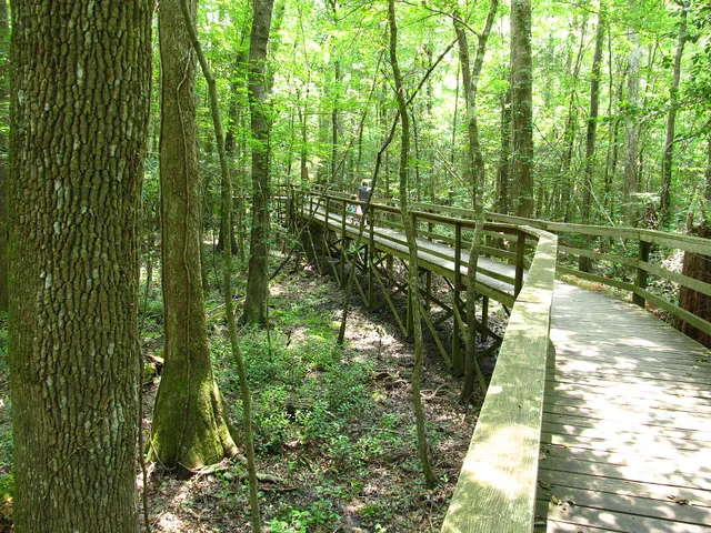 Congaree National Park