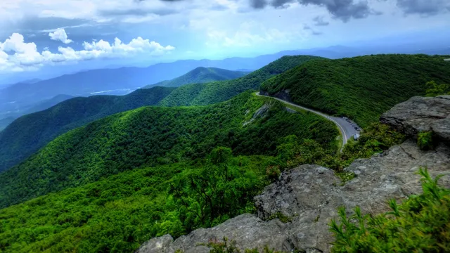 Craggy Gardens