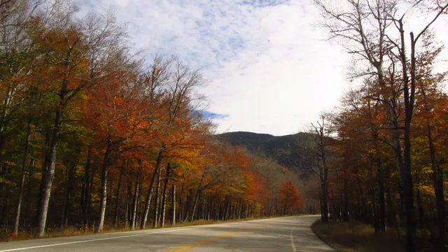 Crawford Notch State Park