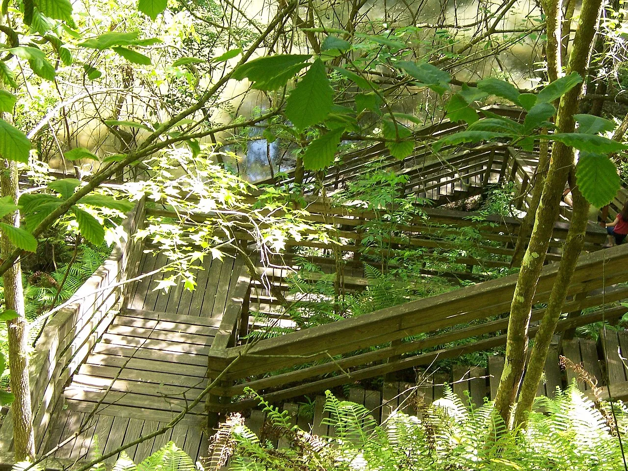Devil's Millhopper Geological State Park