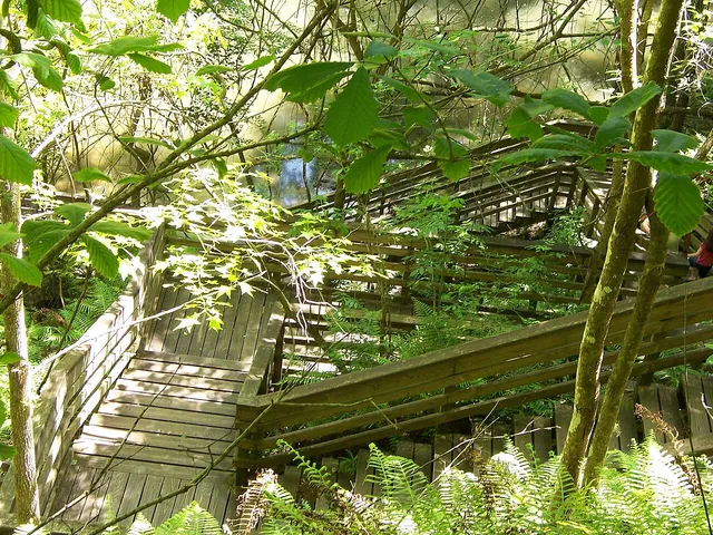 Devil's Millhopper Geological State Park