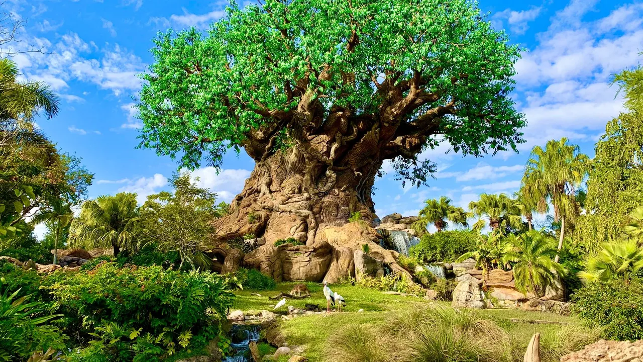 Disney's Animal Kingdom