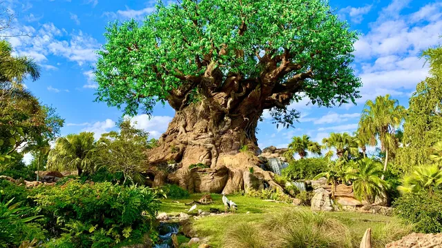 Disney's Animal Kingdom