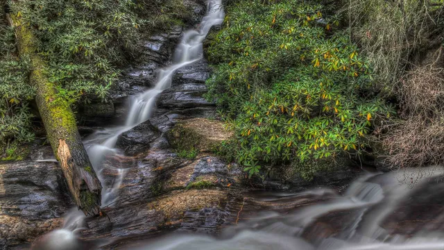 Dukes Creek Falls