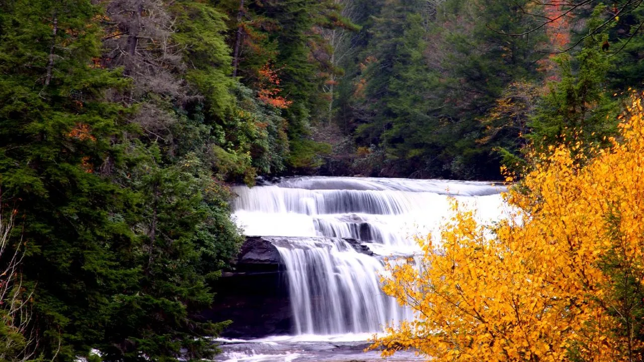 DuPont State Recreational Forest