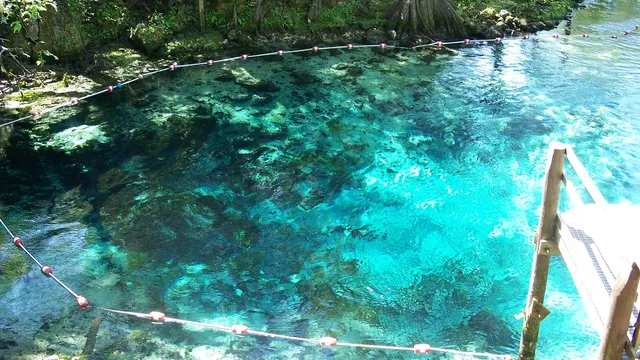 Fanning Springs State Park