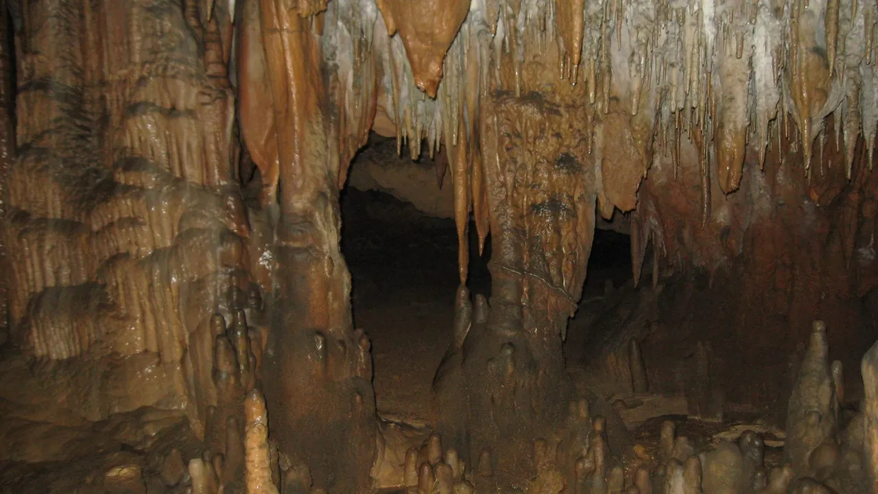 Florida Caverns State Park