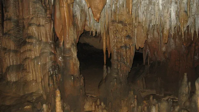 Florida Caverns State Park