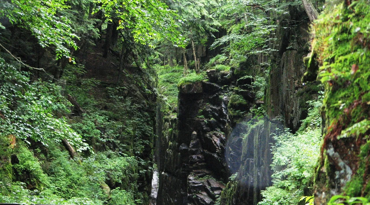 Flume Gorge