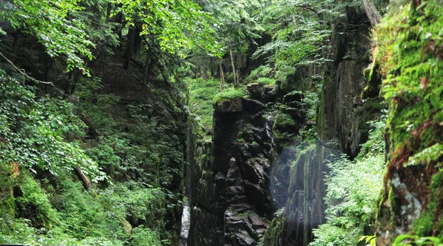 Flume Gorge