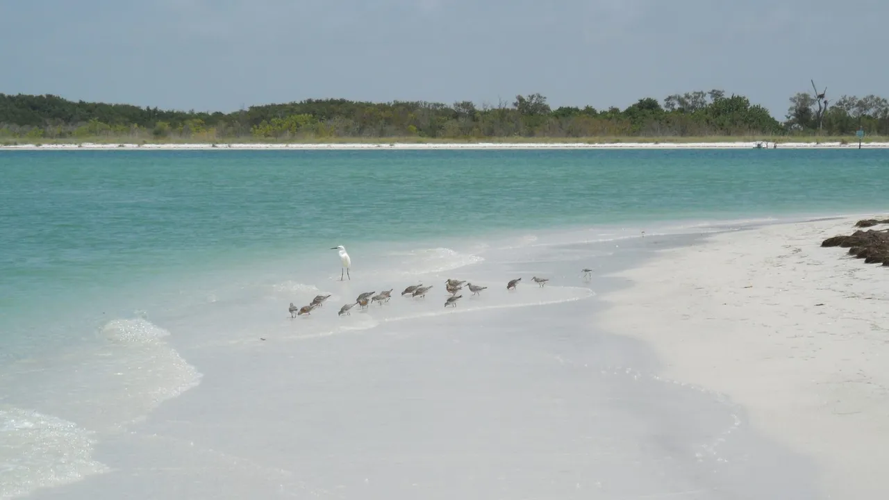 Fort De Soto Park